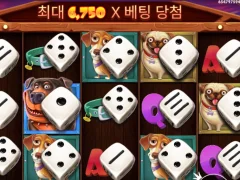 개색들이 눈이 돌앗네