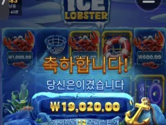프라그마틱 아이스 랍스터 후기 올림