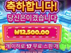 캔디자 너무하누