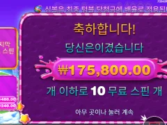 스위트보난자 1000배 짜리 왜이렇게 안나오냐;;