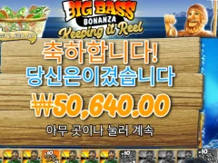 프라그마틱 빅베스 보난자 쿵쾅쿵쾅