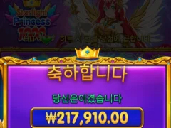 스타라이트1000 개오지쥬?