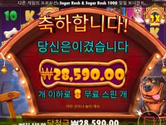 개집 멀티홀드 스타트 ㅅㅅㅅ