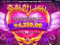 프라그마틱 트와일라잇 프린세스 4천원 후기