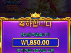 프린세스 1000 이거 뭔가요?