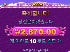 프라그마틱은 보난자 종류가 어케됨