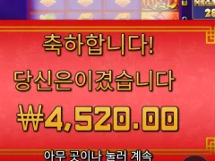 프라그마틱 플로팅드래곤 존나 패망함