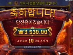 포지오브 올림푸스 로 프라그마틱 접수 완료