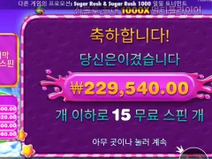 아침부터 달려보자 스윗보난자1000 ㅅㅅㅅ