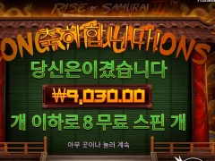 라이즈오브사무라이 한판 했음