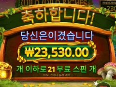 돈 좀 벌자~~~ 와일드 리치스