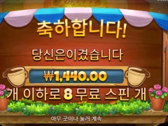 커피 메가