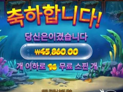비웨이 더 딥 인증합니다.