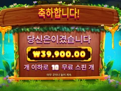 버징와일드 구매는 역시 첫번쨰로 해야됨