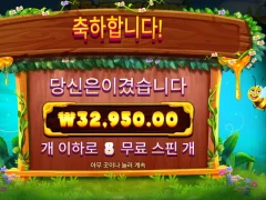 무난한 스타트 버징와일드