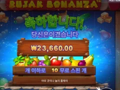 루작 보난자 후기