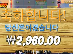 빅베스 메가웨이즈 후기요