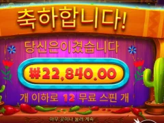 슬롯사이트 추천좀요, 페퍼 인증
