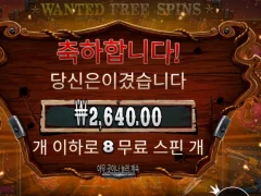 와일드 트리 스핀 2600 망 인증