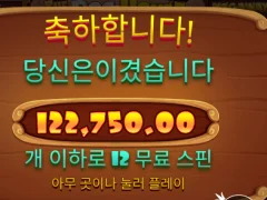 도그하우스 113배