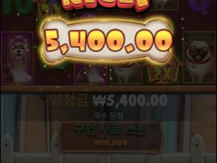 도그하우스 바닥 긁기 대 실패