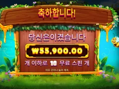 버징와일즈는 비싼 구매 할 필요 없음