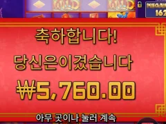 플로팅 드래곤 ㅅㅅ 슬롯사이트는 바오슬롯