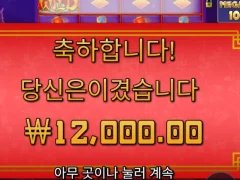 플로팅드래곤이 온라인슬롯 혜자라던데