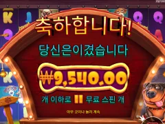 개집 멀티홀드 와일드가 너무 안터지네..