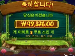 프라그마틱 프로그앤벅스 유교사