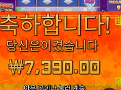 플로팅드래곤 메가 ㅅㅅㅅ