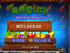 루작 보난자 프라그마틱 후기여