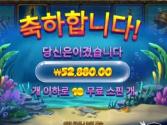비웨어 더 딥 인증요!