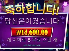 캔디스타즈 인증요