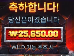 포징와일드 인증요.