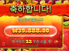 후루츠 멀티홀드 인증요