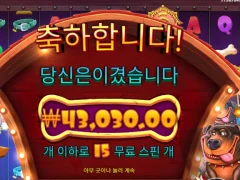 도그하우스 멀티홀드 120배