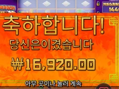 플로팅드래곤 후기