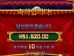 펫판다 후기요 ㅎㅎ