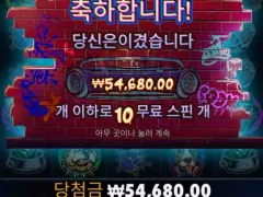 도그하우스 멀티홀드 ㅅㅅ