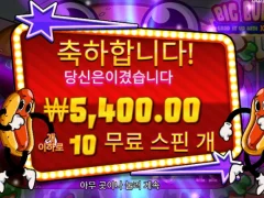 핫도그 10스핀 이지만 돈은 안줌?