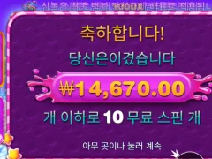 스윗 보난자 1000 10개스핀