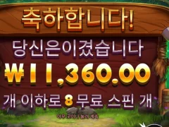 바이슨은 사랑을 싣고
