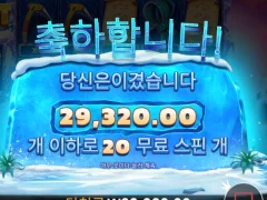 프라그마틱 예티 인증여