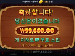 도그하우스 클래식 10만원 후기!