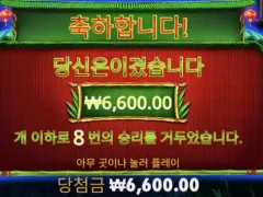 판다 포춘스 바닥돌림