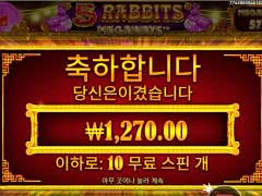 주옥같은 래빗