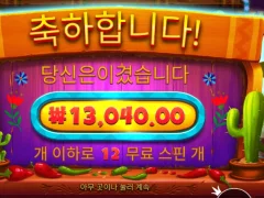 핫페퍼 스핀 12개로 ㅅㅅ
