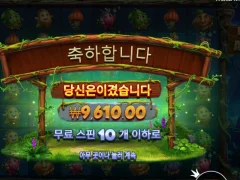 후루츠 오브 더 아마존