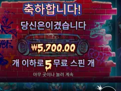 더티독 프리스핀 망작
